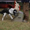 foire-haricots 2011-09-17et18